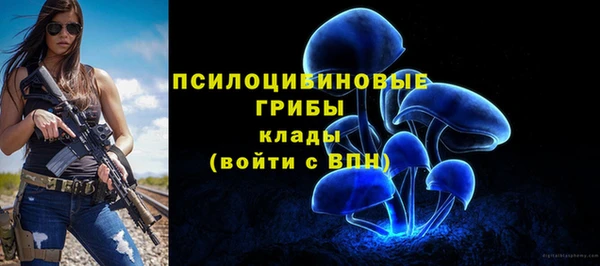 ALPHA PVP Усинск