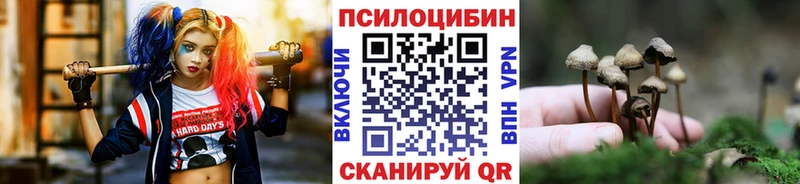 Купить закладки  Никольское  Галлюциногенные грибы GOLDEN TEACHER 